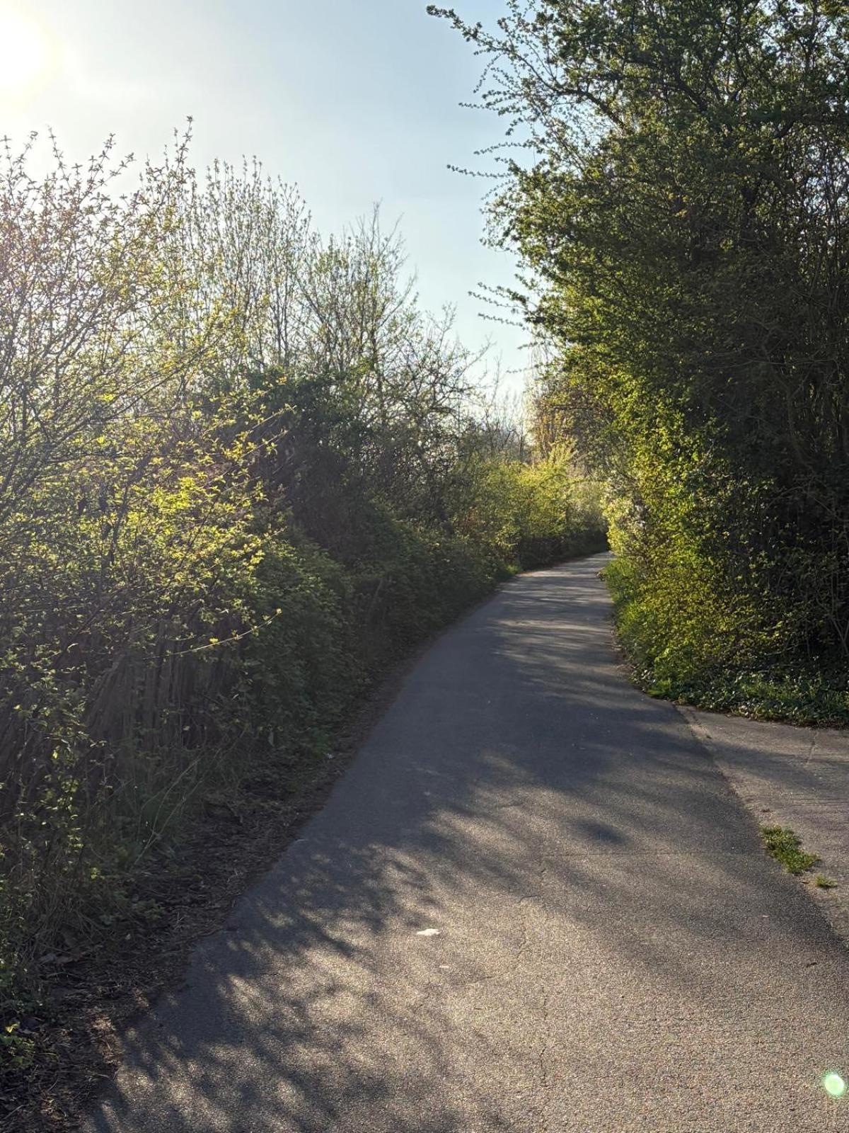 Escale-Marne Fr - 102 - Free Parking - Free Luggage Storage - All Equipped - Linen Included - Washing Machine - 10Mn Walk Metro 8 - Rer A - Panoramic View - From 1 To 4 Guests Maisons-Alfort Eksteriør bilde
